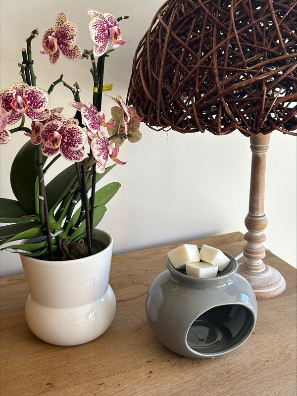 Wax melter + 5 wax blokjes